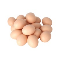 huevos-plastico
